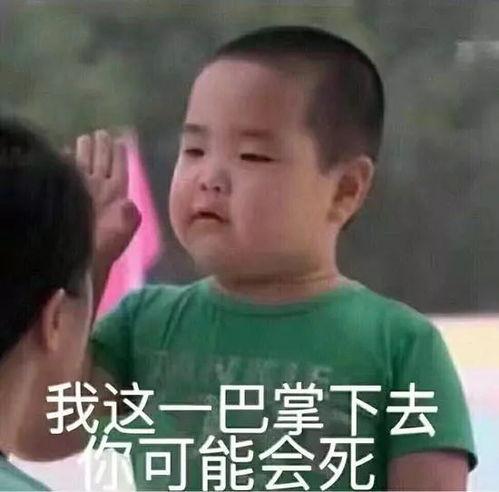 谢飞机表情包视频